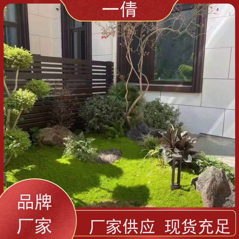 一倩花卉 前台 三层幸福树 绿植租摆 全城配送 上门养护