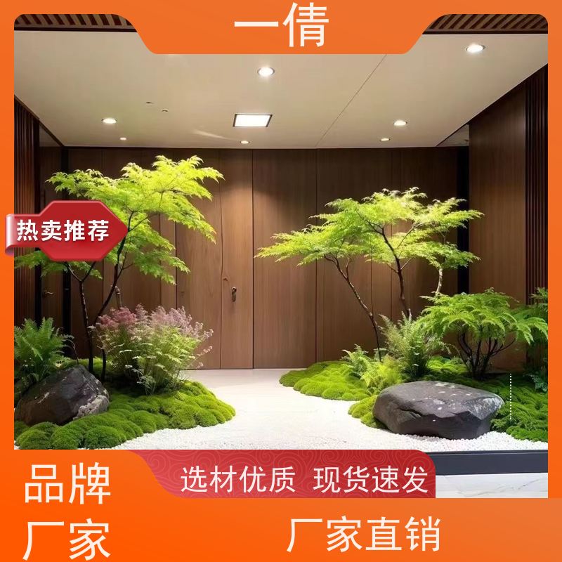 一倩花卉 前台 单杆发财树 开业花篮租赁 全城配送 上门养护