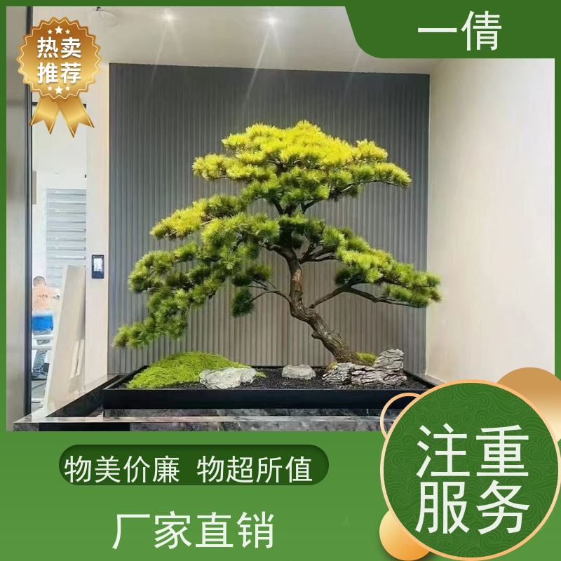 一倩花卉 前台 富贵竹 室内植物出租 全城配送 上门养护