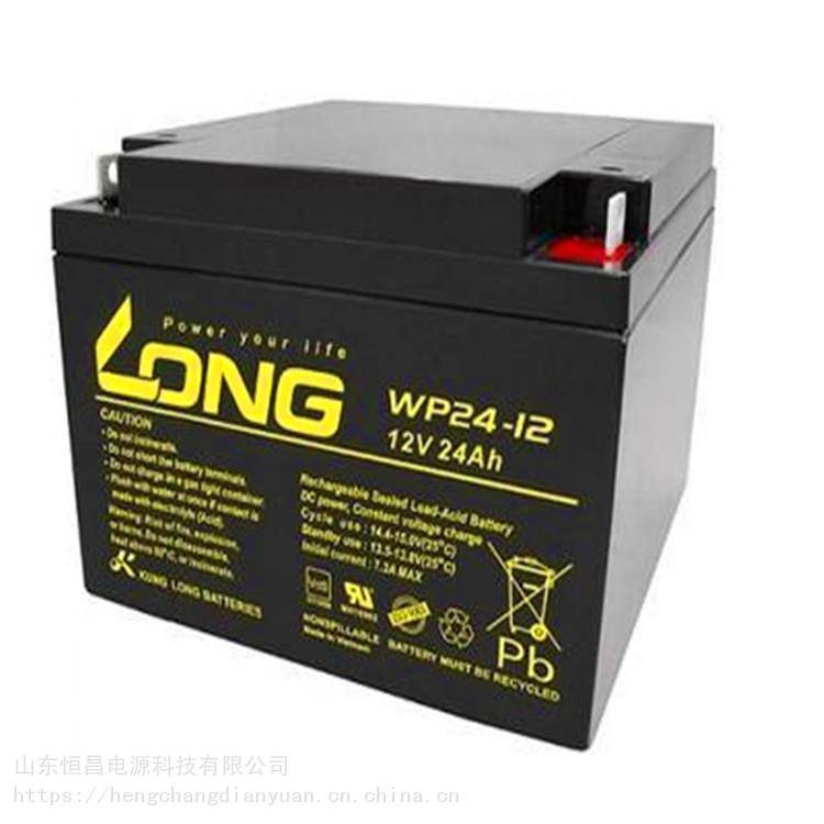 LONG广隆蓄电池WP24-12NE铅酸12V24AH安防直流屏ups电源消防通讯