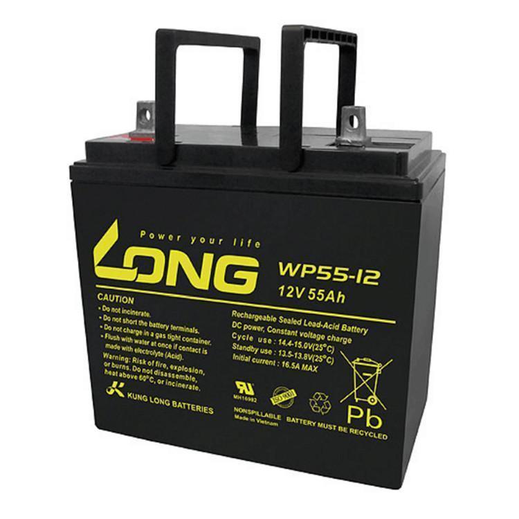 LONG广隆蓄电池WP55-12NE通信机房 12V55AH 基站电力 UPS/EPS电源