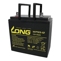 LONG广隆蓄电池WP55-12NE通信机房 12V55AH 基站电力 UPS/EPS电源