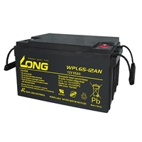 广隆LONG蓄电池WPL65-12 12V65AH直流屏 UPS EPS配套