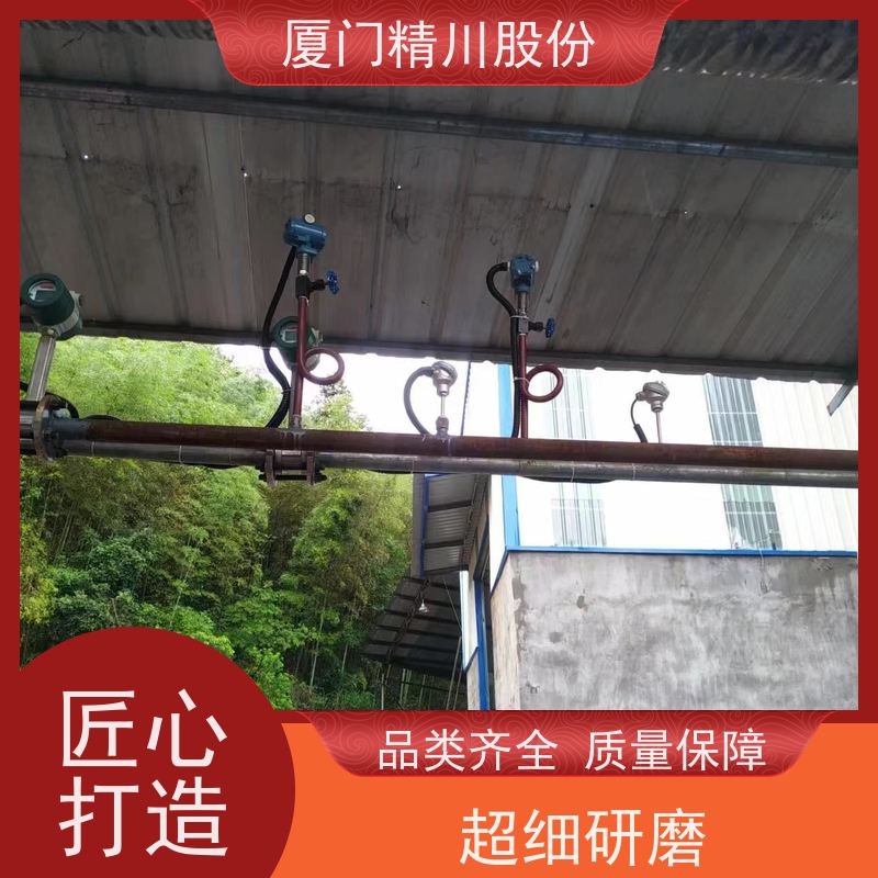 精川股份 合成革厂 饱和蒸汽流量计 抗震性能好 应用广泛
