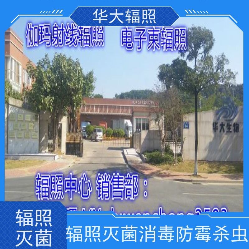 烟台中宠华大  孜然味调味料 辐照杀灭大肠杆菌