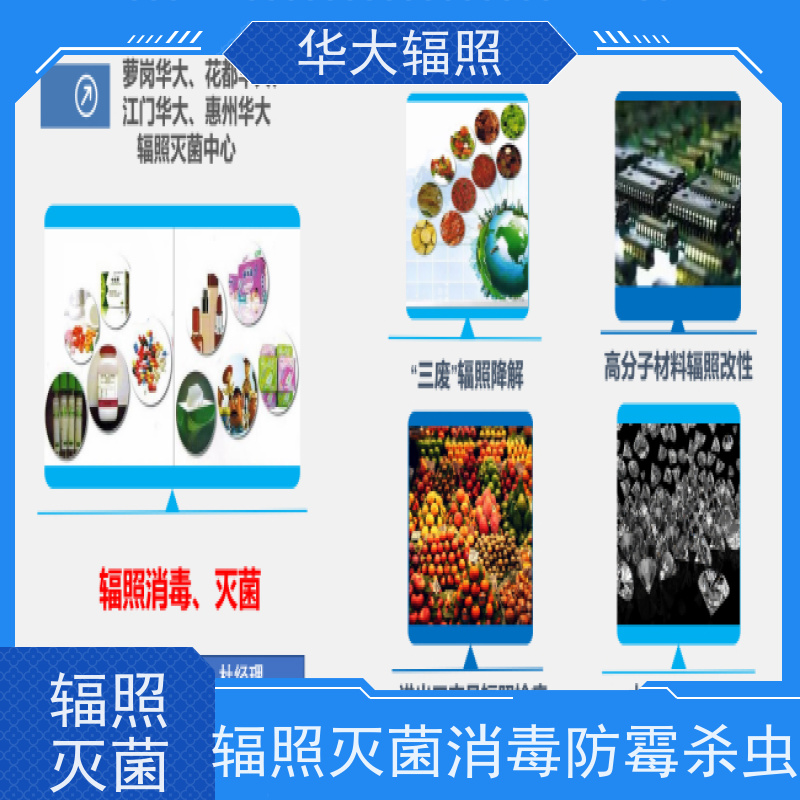 烟台中宠华大  麦香鸡香辣味调味料 杀灭微生物
