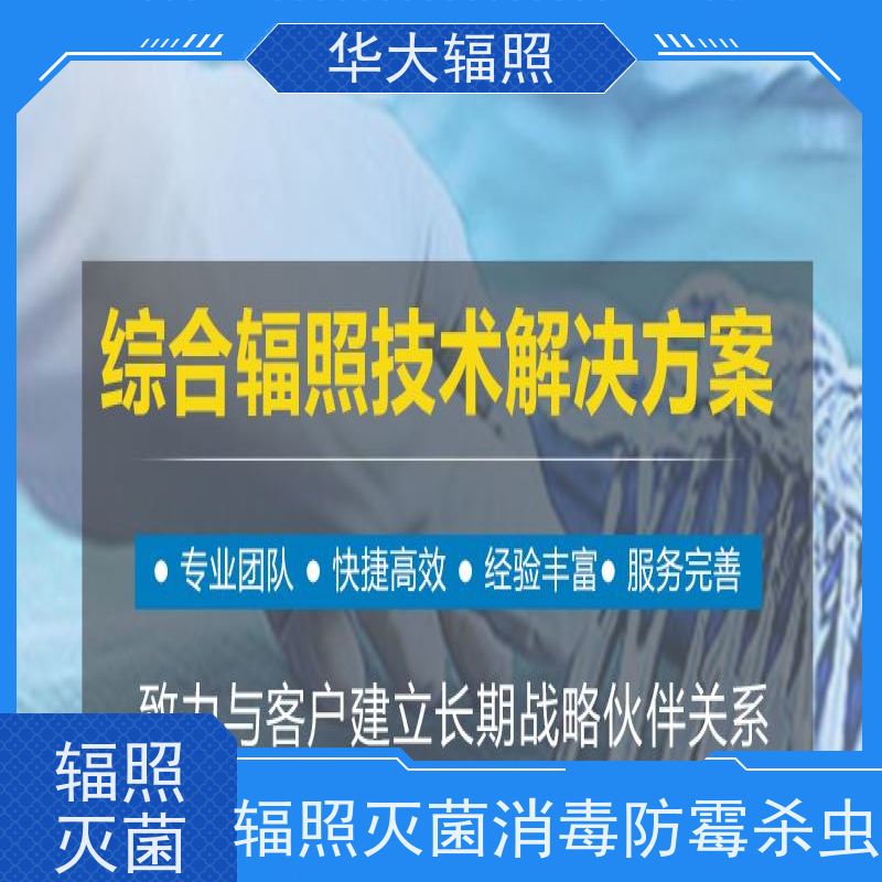 天津弘毅  麦香鸡香辣味调味料 辐照杀灭芽孢菌