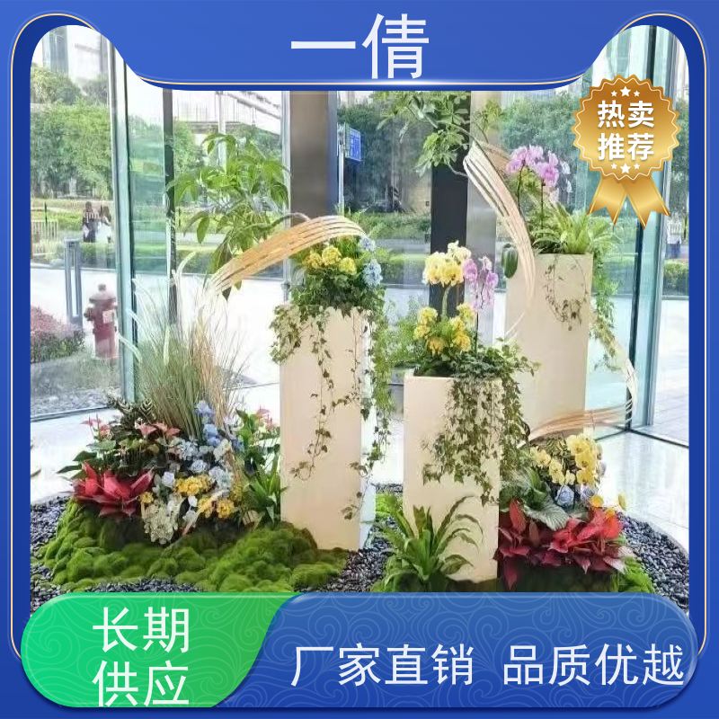 一倩花卉 前台 白掌 室内植物出租 全城配送 上门养护