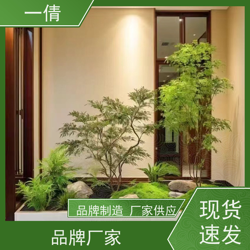 一倩花卉 前台 好事花生 室内植物出租 种类繁多 规格齐全