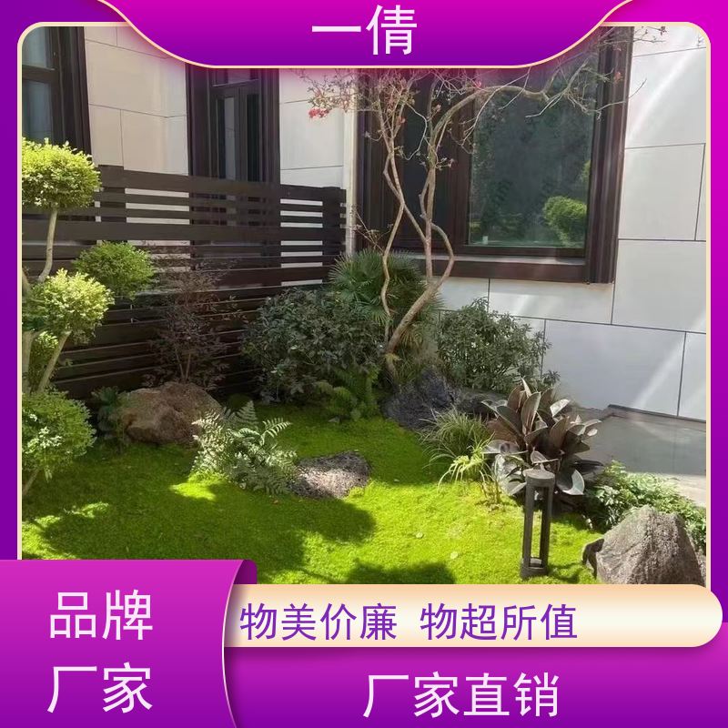 一倩花卉 办公室 袖珍椰子 开业花篮租赁 种类繁多 规格齐全