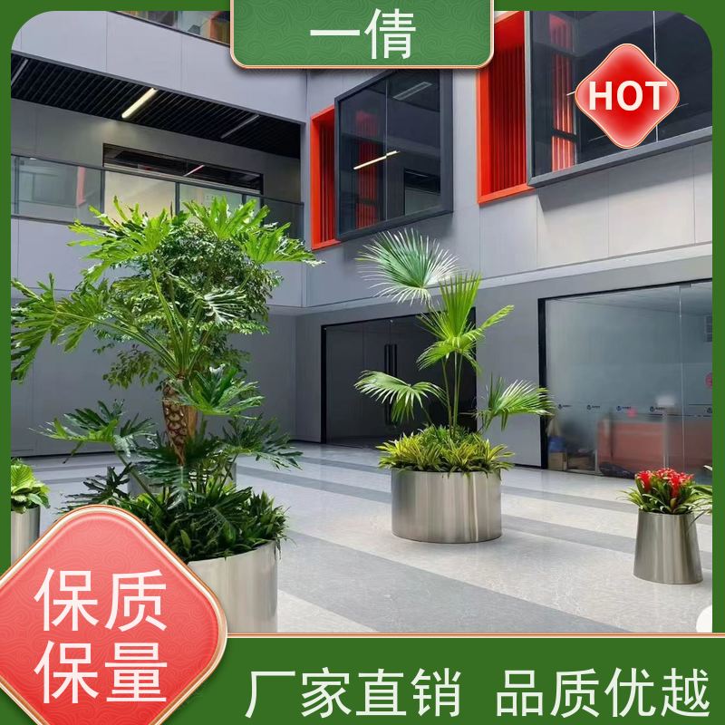 一倩花卉 深圳 富贵籽 绿植租摆 全城配送 上门养护