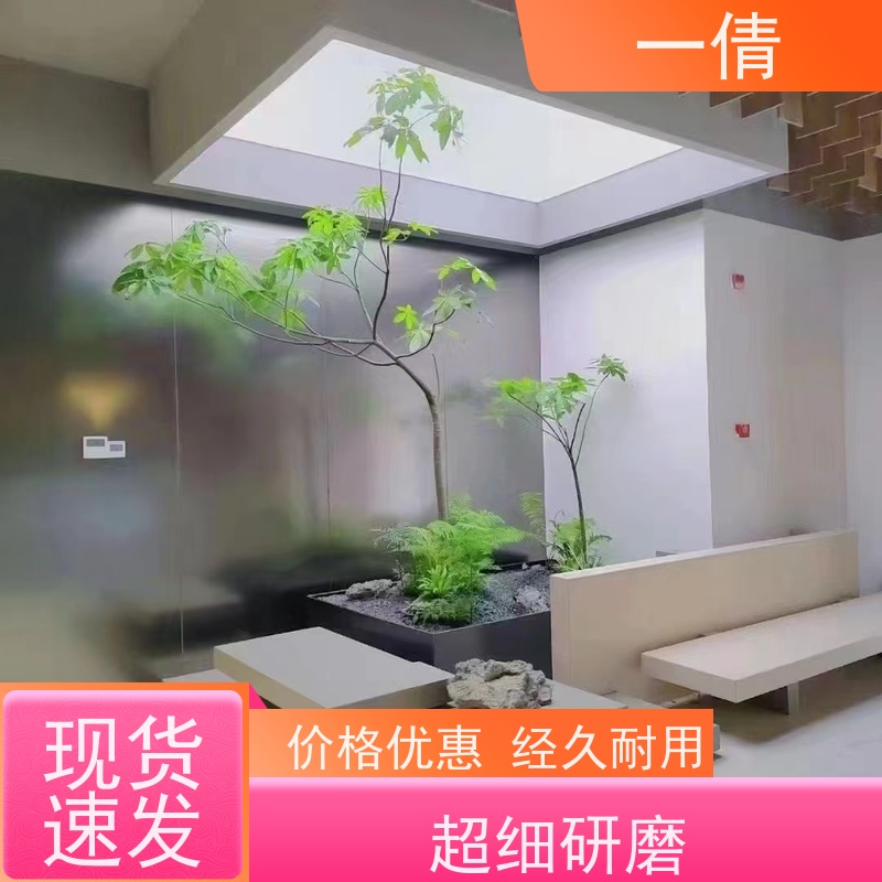 一倩花卉 前台 三杆发财树 开业花篮租赁 全城配送 上门养护