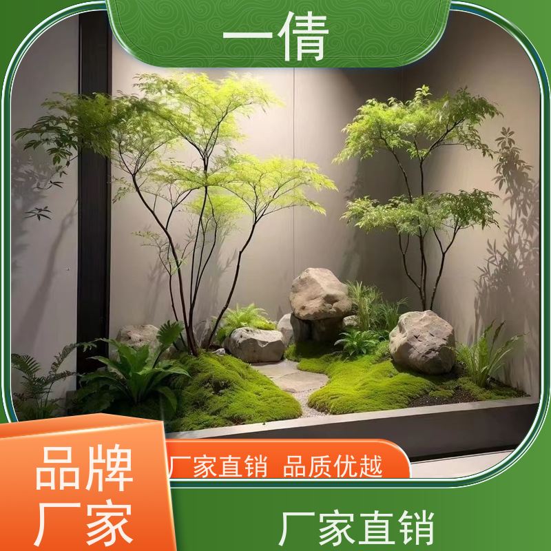 一倩花卉 室内 百合竹 绿植租赁 桌面绿植 花木护理