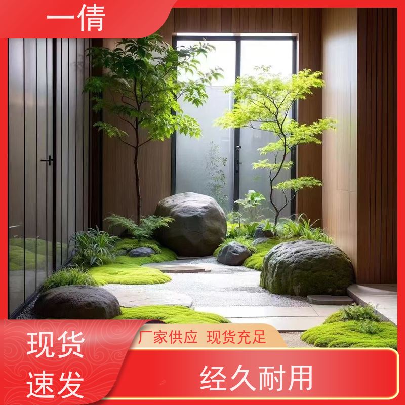 一倩花卉 室内 白掌 绿植租赁 种类繁多 规格齐全