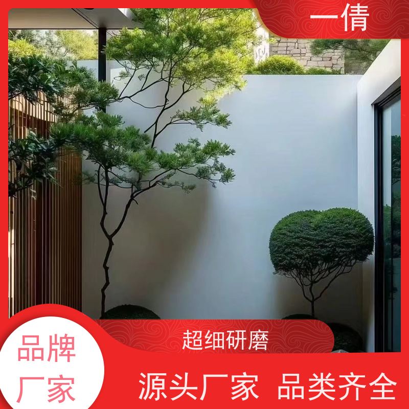 一倩花卉 前台 小仙女海芋 开业花篮租赁 全城配送 上门养护