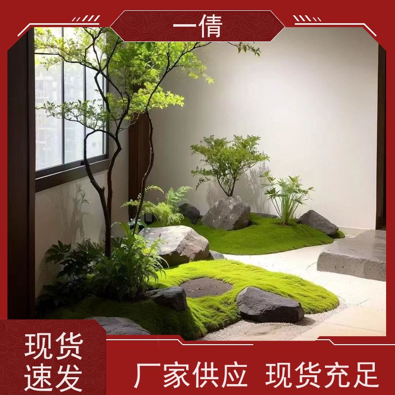 一倩花卉 室内 多枝巴西木 开业花篮租赁 桌面绿植 花木护理