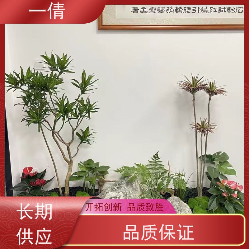 一倩花卉 深圳 三杆发财树 开业花篮租赁 种类繁多 规格齐全