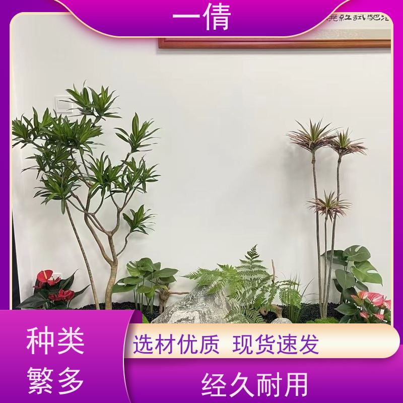 一倩花卉 办公室 绿巨人 绿植租摆 桌面绿植 花木护理
