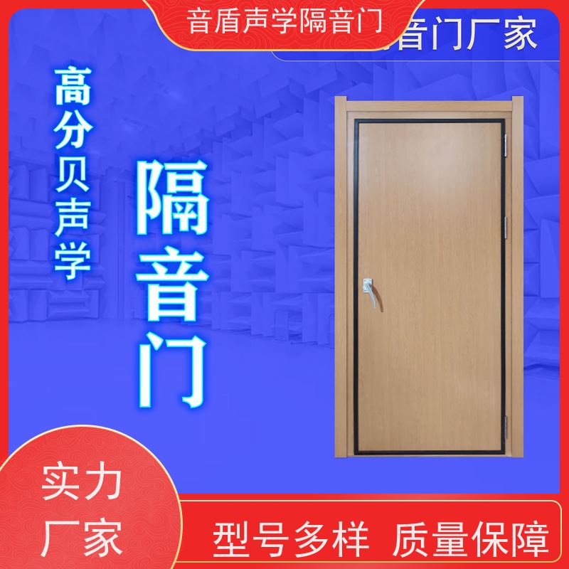 浙江省 音盾声学 摄影棚 隔音门 定制生产