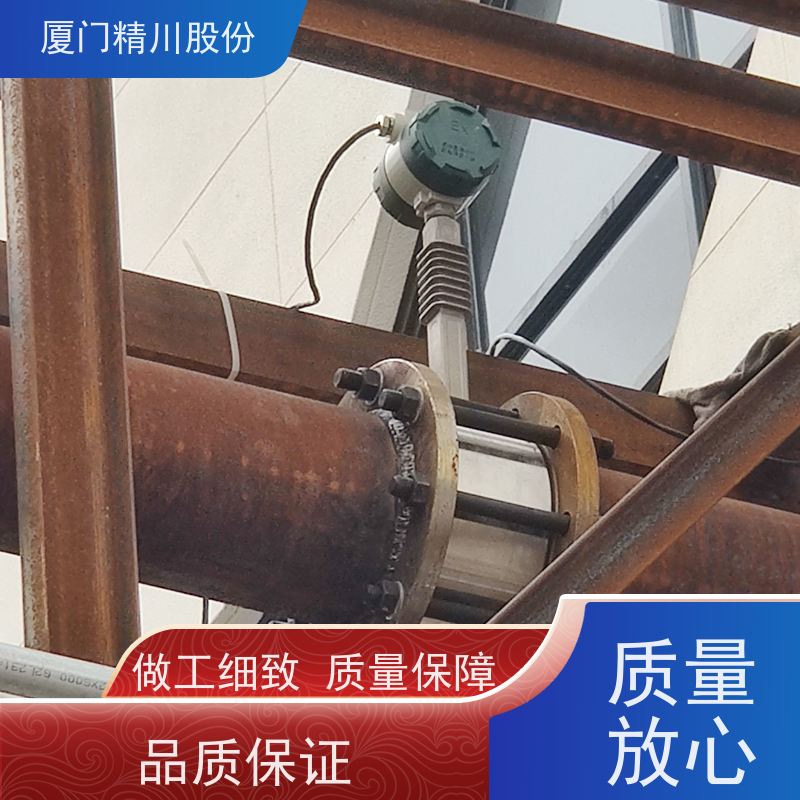 精川股份 合成革厂 导热油流量计 自动计算能量 安装简单