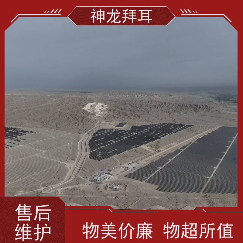 神龙拜耳 太阳能光伏支架成型机 沉浸式体验 批发