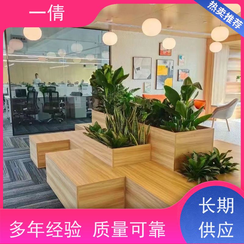 一倩花卉 前台 单杆发财树 绿植出售 全城配送 上门养护