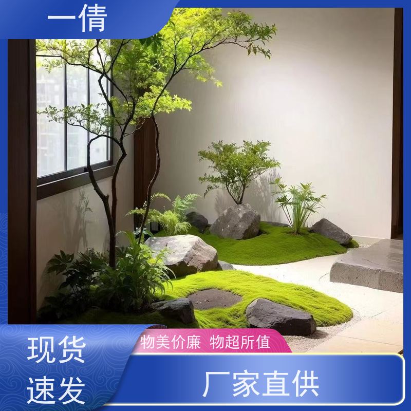 一倩花卉 前台 杜鹃 绿植租摆 桌面绿植 花木护理