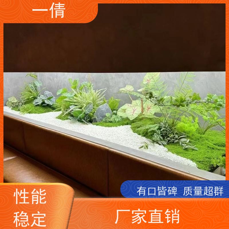 一倩花卉 深圳 多枝巴西木 绿植租赁 全城配送 上门养护