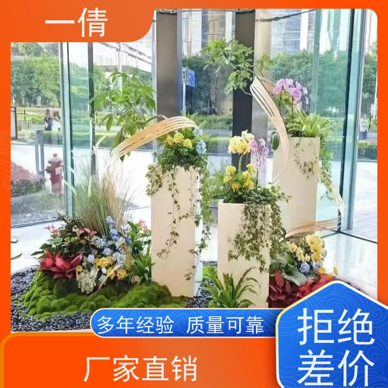 一倩花卉 室内 造型螺纹铁 绿植租摆 桌面绿植 花木护理