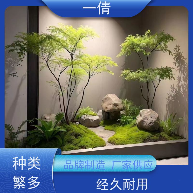 一倩花卉 深圳 单杆发财树 绿植租摆 全城配送 上门养护