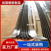伸缩缝密封胶条  桥梁防尘橡胶伸缩缝条  W型防水胶条 