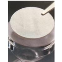 百里酚蓝试纸 型号:76-61-9