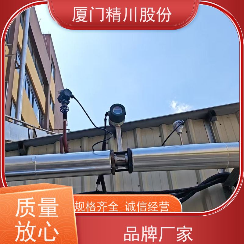 精川股份 制药厂 压缩空气流量计 工作时间长 源头生产厂家