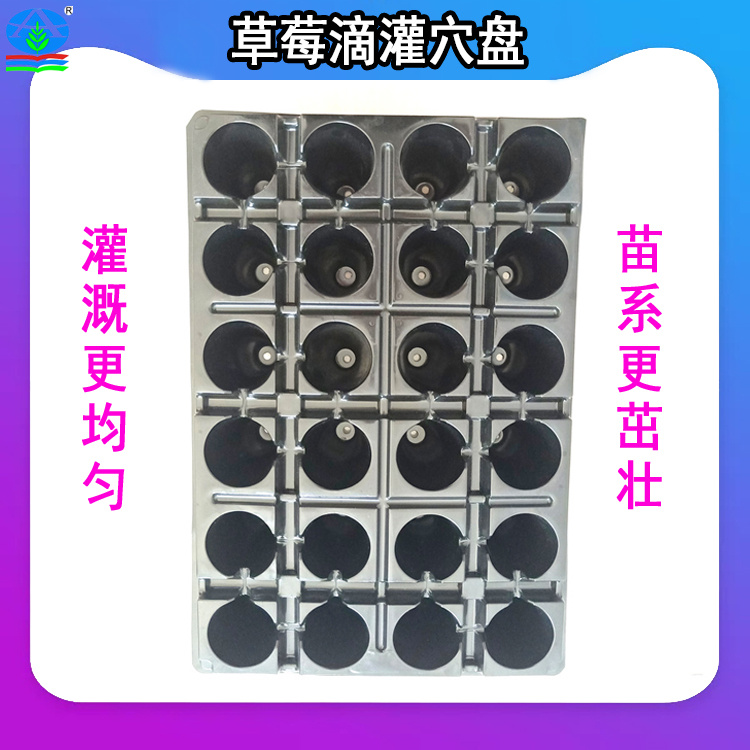 草莓滴灌穴盘 精准控水滴灌 草莓育苗保水保肥更高效