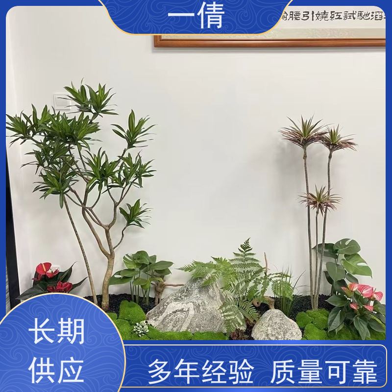 一倩花卉 办公室 平安树 绿植租赁 种类繁多 规格齐全