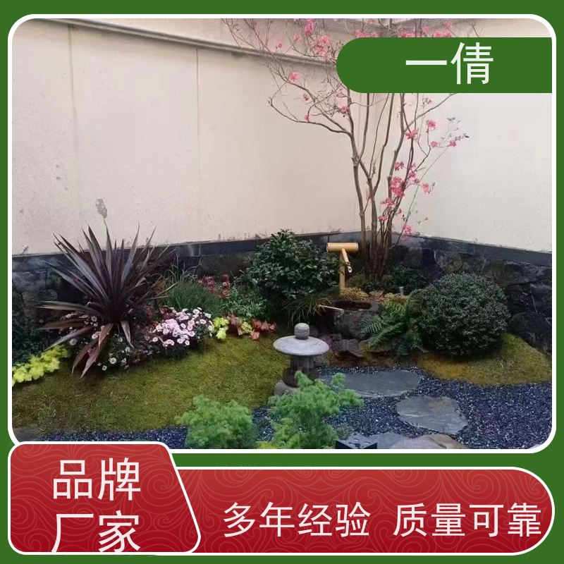 一倩花卉 办公室 百合竹 绿植租摆 桌面绿植 花木护理