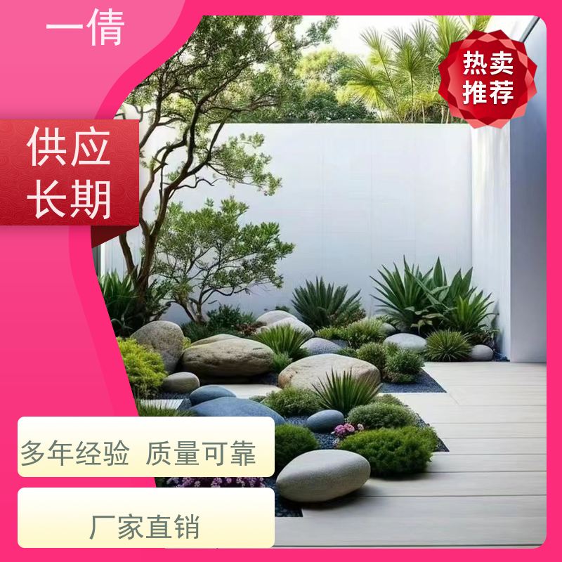 一倩花卉 深圳 好事花生 开业花篮租赁 桌面绿植 花木护理