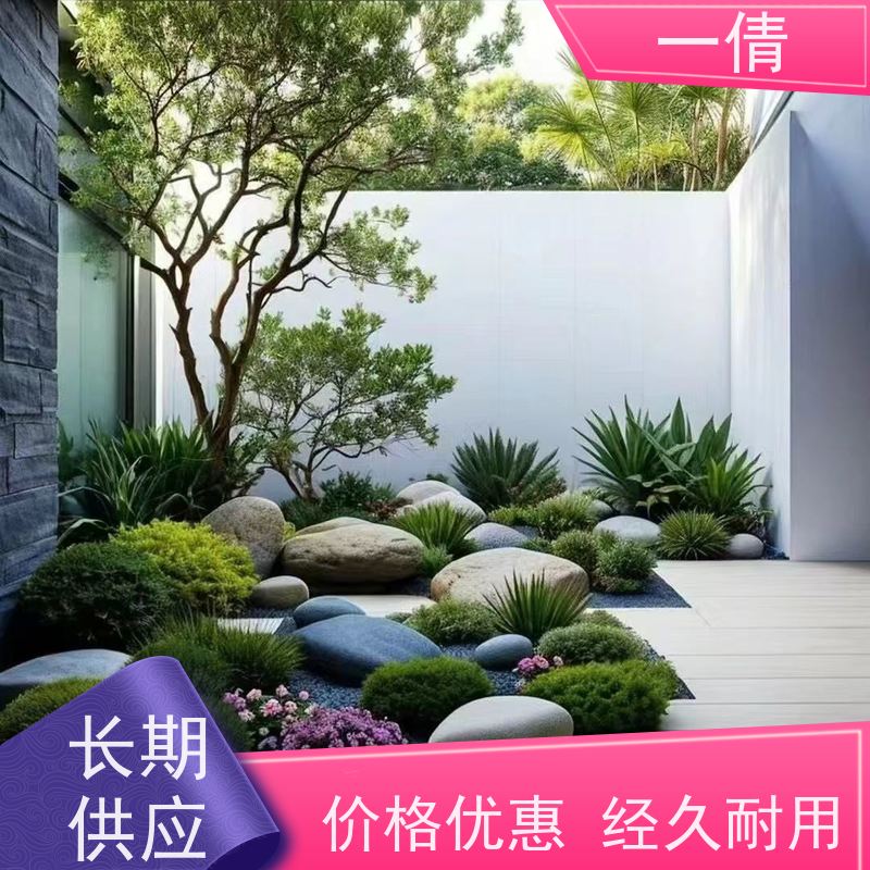 一倩花卉 办公室 富贵竹 花卉租赁 种类繁多 规格齐全