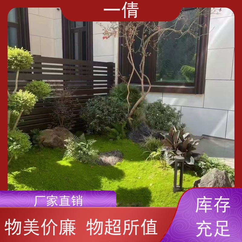 一倩花卉 办公室 琴叶榕 绿植租摆 全城配送 上门养护