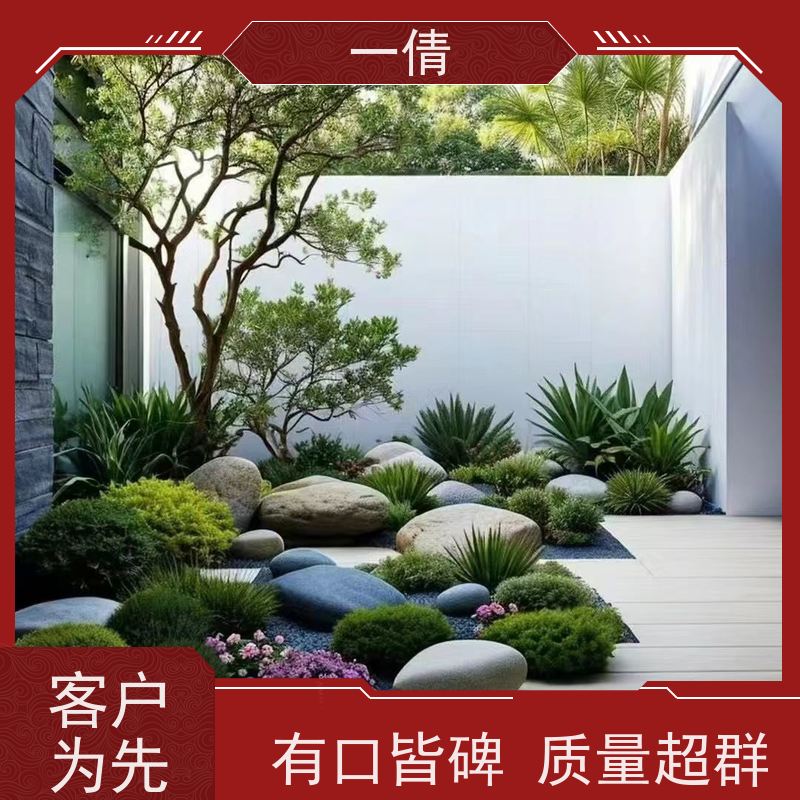 一倩花卉 前台 造型螺纹铁 绿植出售 种类繁多 规格齐全