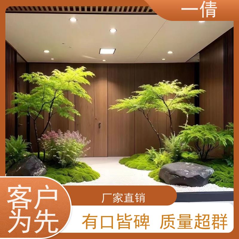 一倩花卉 室内 碧玉 绿植租摆 全城配送 上门养护