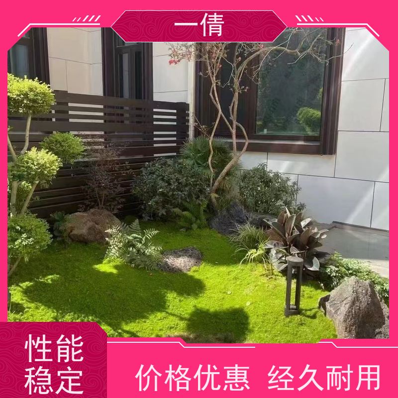 一倩花卉 室内 三杆发财树 绿植出售 桌面绿植 花木护理