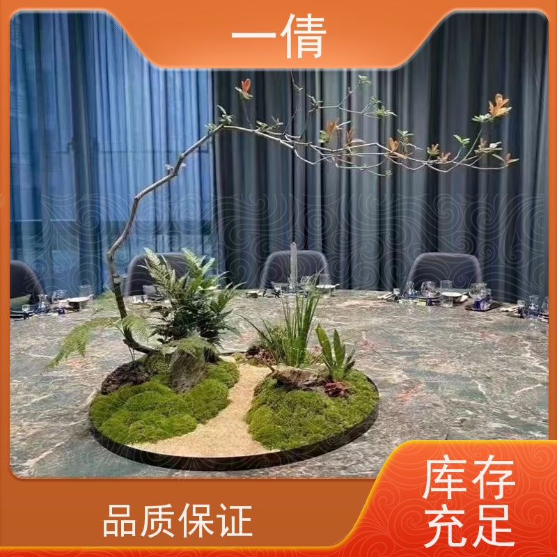 一倩花卉 前台 小琴叶榕 绿植出售 全城配送 上门养护