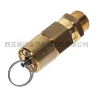 2202889105，2204252305阿特拉斯空压机配件安全阀