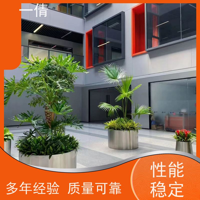 一倩花卉 深圳 富贵竹 开业花篮租赁 种类繁多 规格齐全