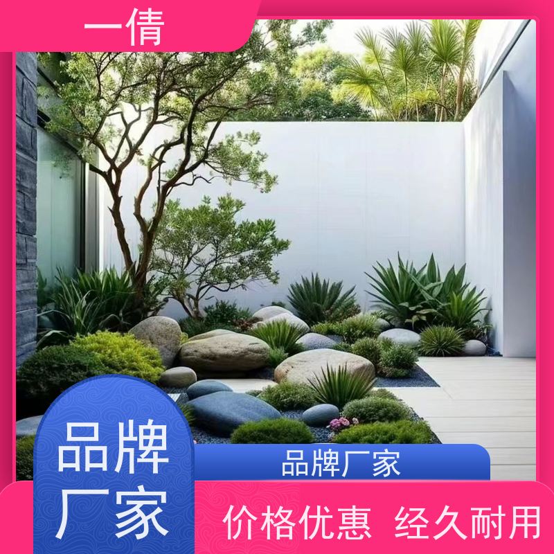 一倩花卉 前台 单杆发财树 绿植租赁 全城配送 上门养护