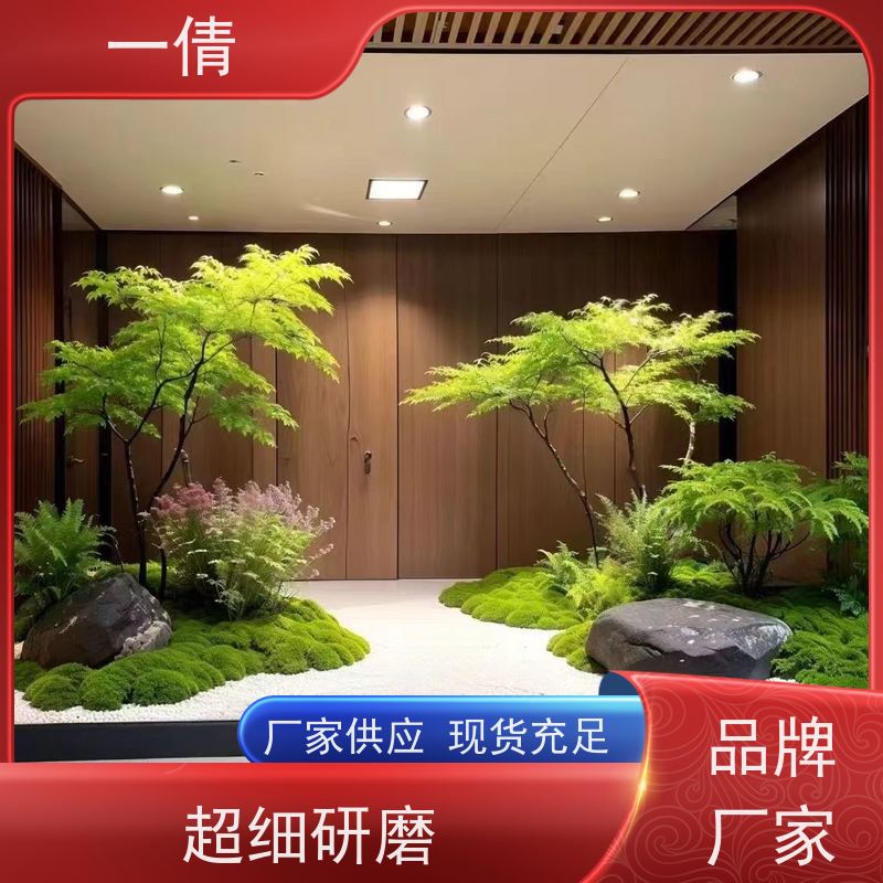 一倩花卉 办公室 小仙女海芋 绿植出售 全城配送 上门养护
