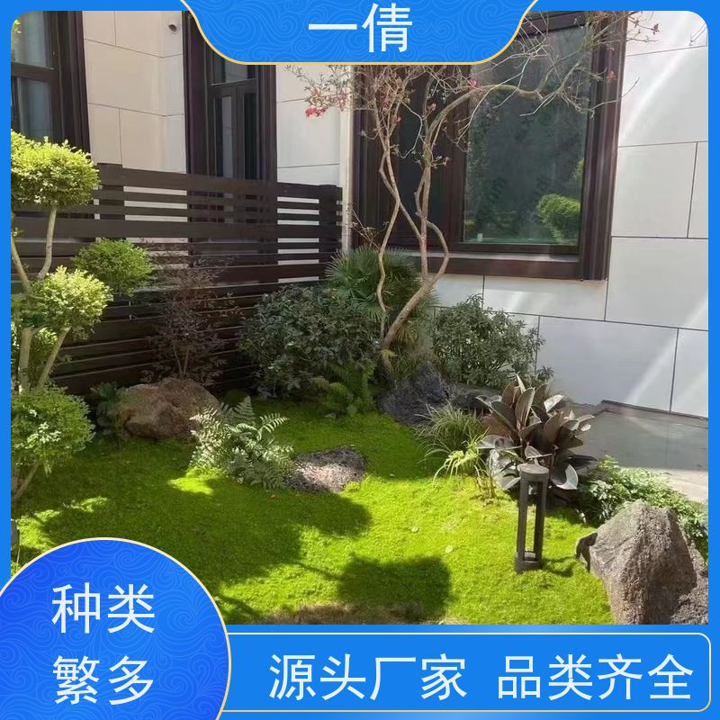 一倩花卉 前台 造型螺纹铁 绿植租摆 全城配送 上门养护