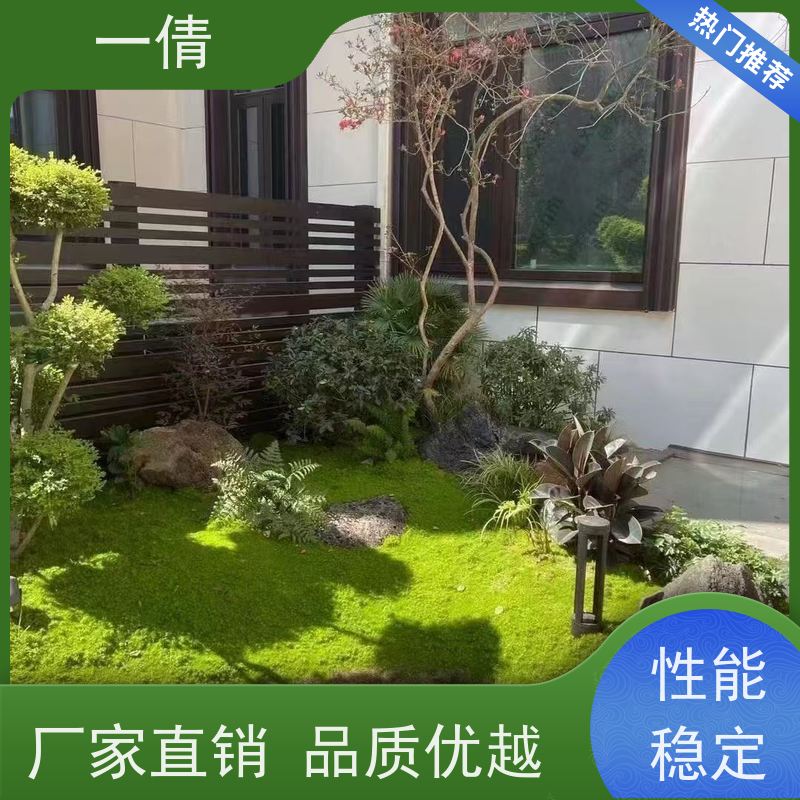一倩花卉 办公室 袖珍椰子 花卉租赁 种类繁多 规格齐全