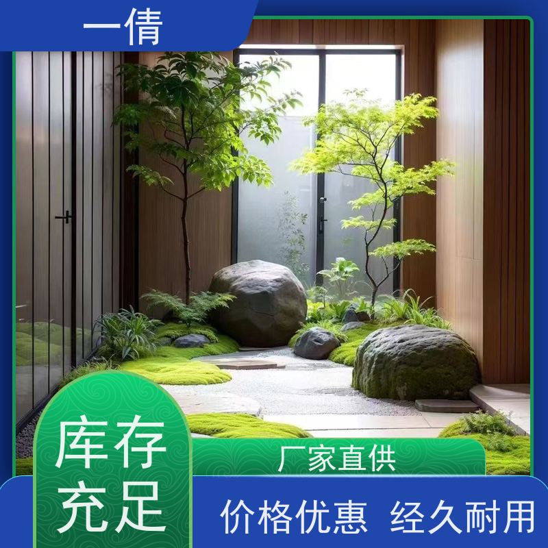一倩花卉 前台 小仙女海芋 绿植租赁 全城配送 上门养护